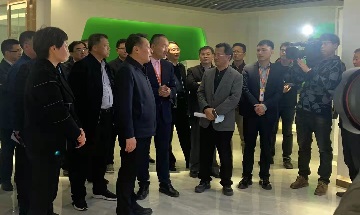 Komite Tetap Komite Partai Provinsi Anhui dan Sekretaris Komite Partai Municipal Hefei menyelidiki Bluesun Solar