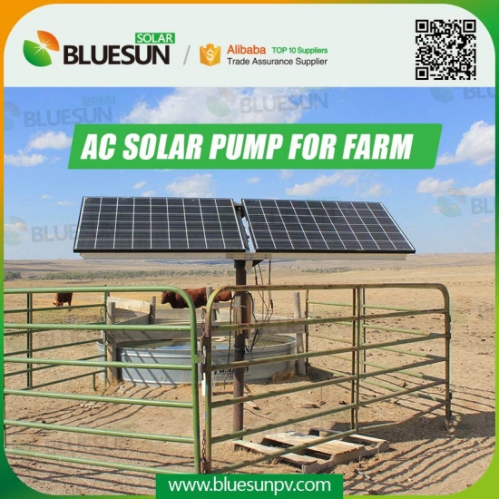 solar water pumps south africa