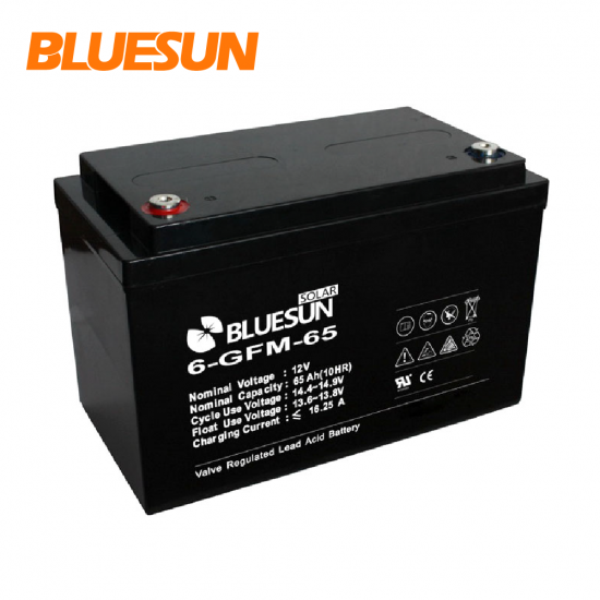 12V 65AH GEL best aa rechargeable battery charger-Bluesun