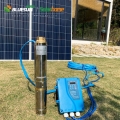 Bluesun 80m Head Solar Water Pump DC 48V Solar Pump System 600W Solar Pump Untuk Sumur Dalam
