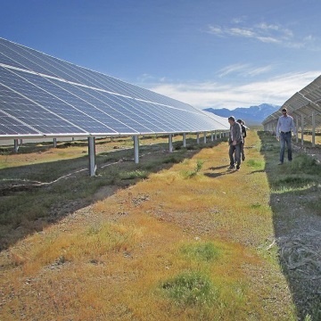 Gurun solar farm benar-benar dapat meningkatkan gurun habitat kura-kura