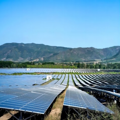 Pembangkit listrik fotovoltaik membantu Vietnam mengatasi kekurangan daya